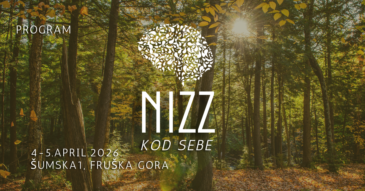 Zorica Zarić - NIZZ program